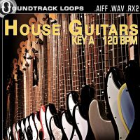 HOUSE ELEMENTS .: HOUSE GUITARS – APPLE LOOPS – ACID LOOPS – RECYCLE  LOOPS