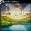LOOP THEORY : CHILLOUT VOL 1 LOOP THEORY : CHILLOUT VOL 1