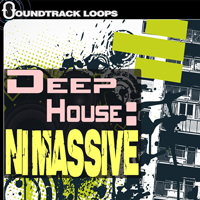 Thumbnail WM Entertainment Native Instruments NI MASSIVE Presets House