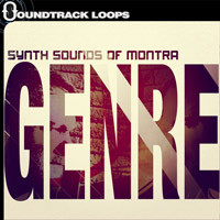 Synth Sounds of Montra – Genre – Loops and Samples Synth Sounds of Montra – Genre – Loops and Samples
