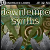 DOWNTEMPO SYNTHS - LOOPTASTIC LOOPS
