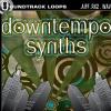 DOWNTEMPO SYNTHS - ACID LOOPS