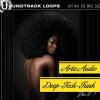 ARTIS AUDIO - DEEP TECH FUNK