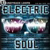 ELECTRIC SOUL