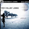 ICED CHILLOUT LOUNGE - RECYCLE LOOPS