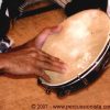 Paneiro Latin Percussion