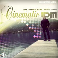 Download Cinematic IDM - Loops and Samples by Montra