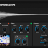 9 Custom Kontakt Analog Bass with bit crusher and filters