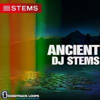 Download EDM DJ Stems titled Ancient from Soundtrack Loops.