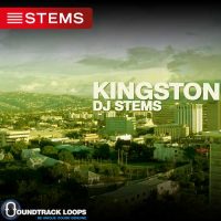Download Reggae DJ Stems - Kingston