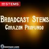 Download Broadcast STEMS Corazon Profundo- DJ STEMS for a Live Audience