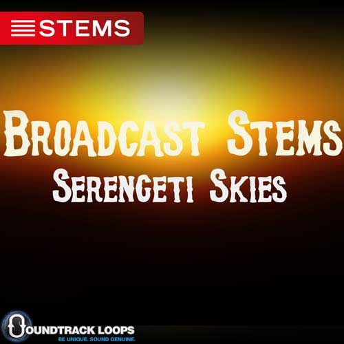 Download Broadcast STEMS Serengeti Skies - DJ STEMS for a Live Audience