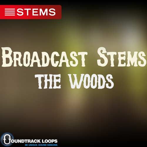 Download Broadcast STEMS The Woods - DJ STEMS for a Live Audience