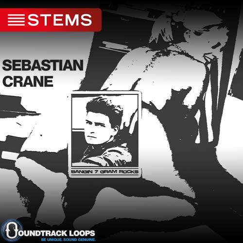 Download EDM Stems for Traktor by Sebastian Crane