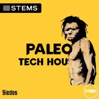 Download Tech House DJ STEMS Tracks