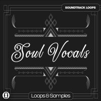 Download Soul Vocals Royalty Free Vocal Loops and Instrumental Loops