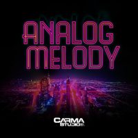 Download Analog Melody royalty free loops & samples by Carma Studio
