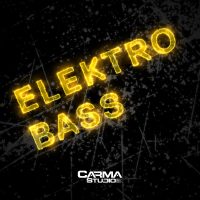 Download Electro Bass royalty free loops by Carma Studio