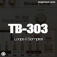 Download Royalty Free TB 303 Loops & Samples by Soundtrack Loops