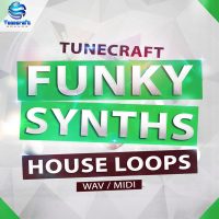 Download Royalty Free Funky Synth House Loops by Tunecraft