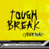 Download Royalty Free Tough Break Cyberpunk! Loops by PLP
