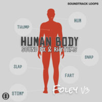 Download Royalty Free Foley Human Body Sound Effects Loops