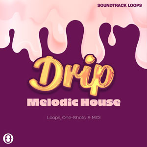 Download Royalty Free Drip Melodic House Sounds | Soundtrack Loops