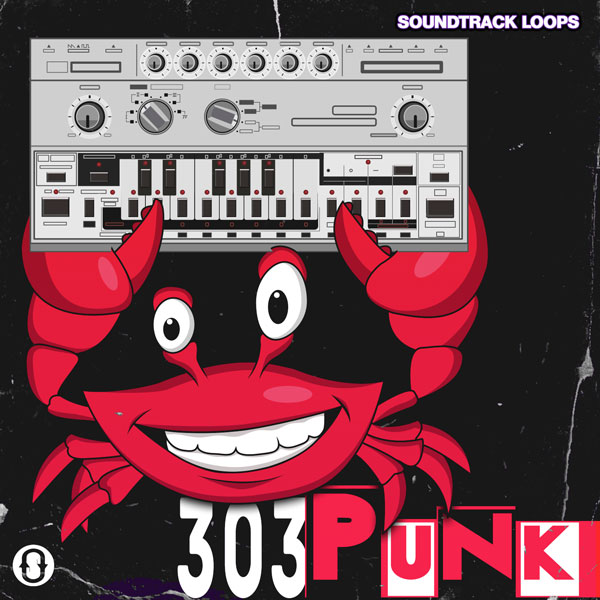 303 Punk TB-303 Loops and Samples