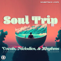 Download Soul Trip - Soulful Vocals Trip Hop Melodies & Rhythms