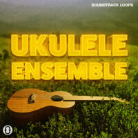 Download Royalty Free Ukulele Instrumental Sounds