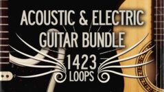 1,423 Acoustic & Electric Guitar Royalty Free Loops